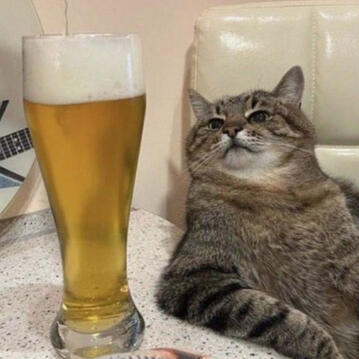 a cat sitting by a glass of beer